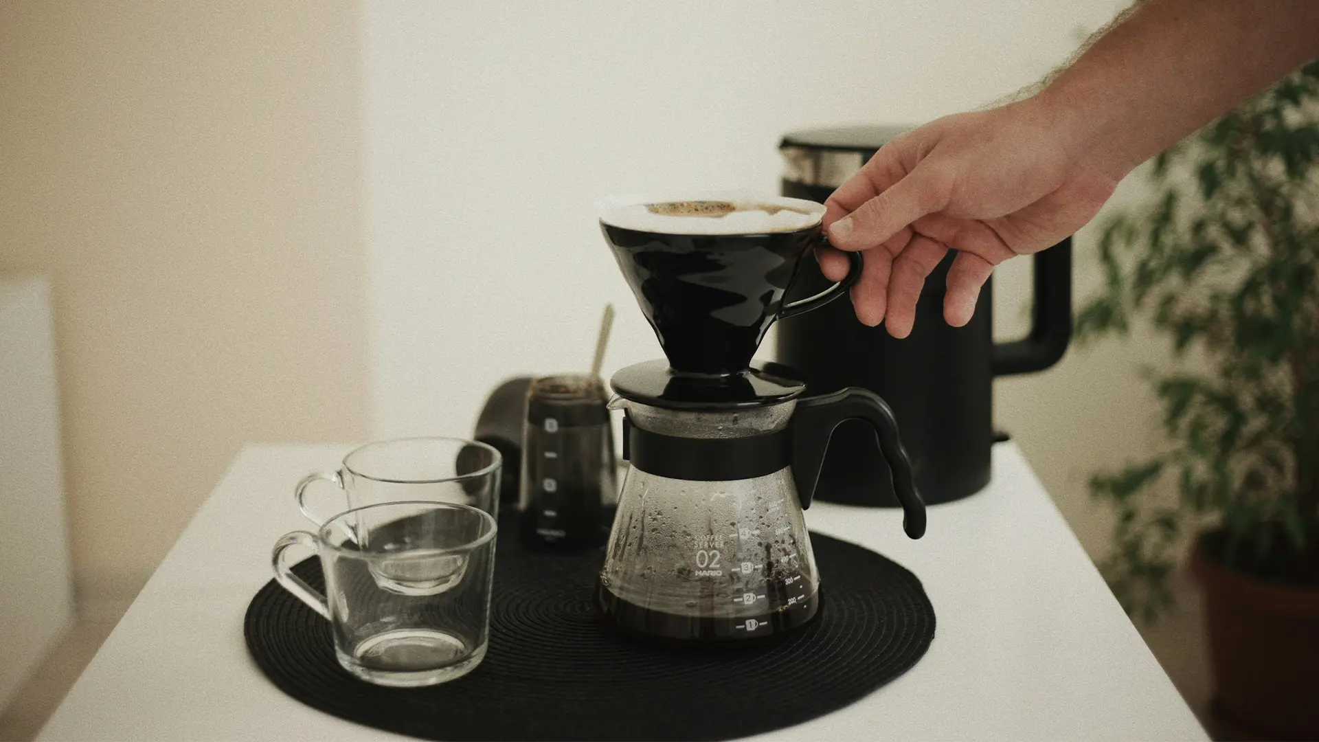 cortado